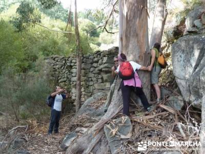 Parque Natural Naturtejo, excursiones de senderismo; sierra de gredos senderismo